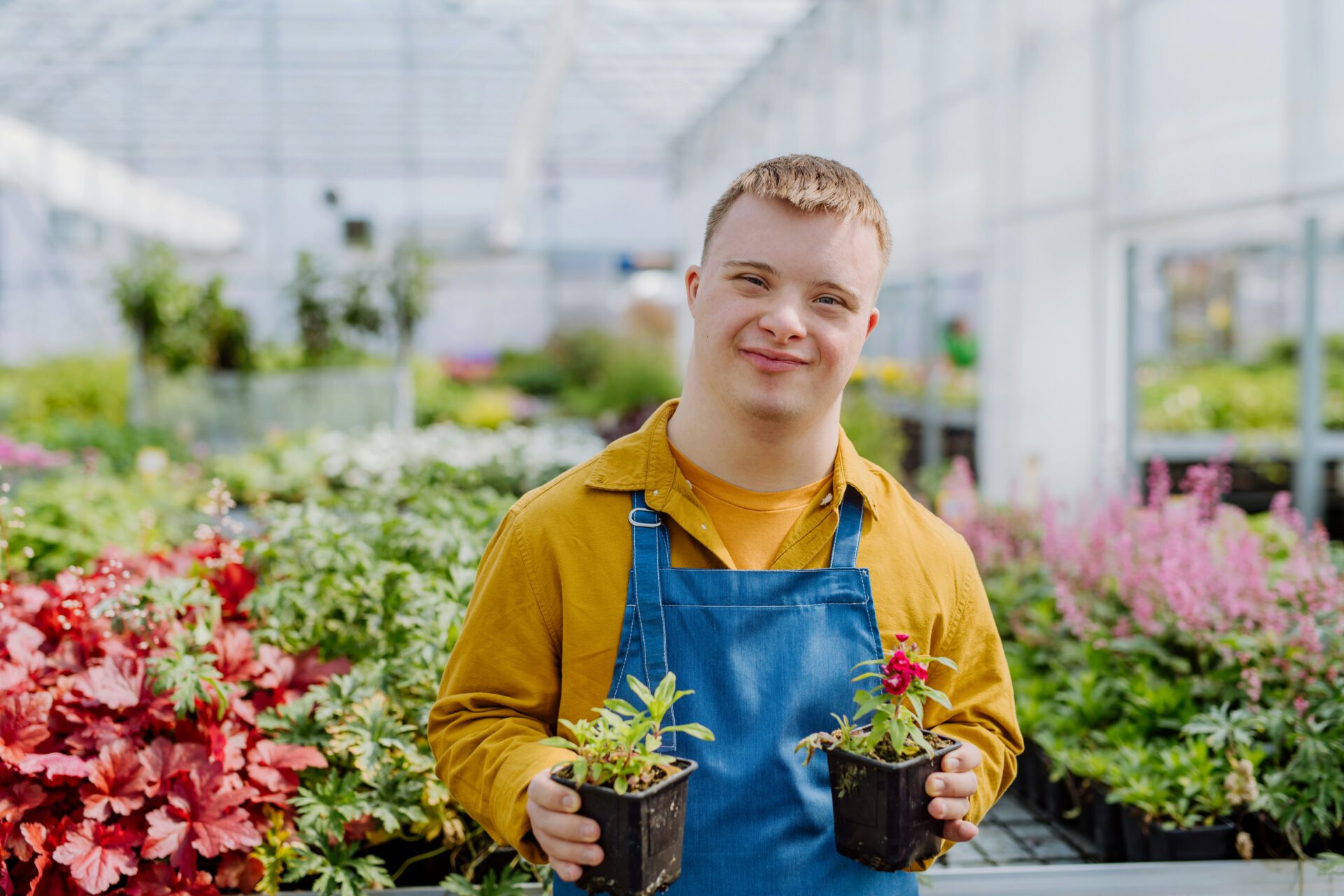 Young man working in garden nursery