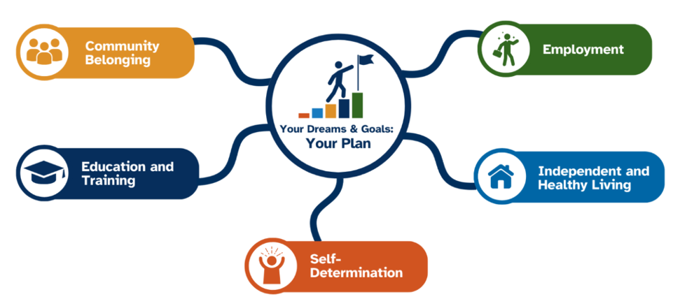 Your Plan